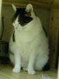 20061204170913.jpg